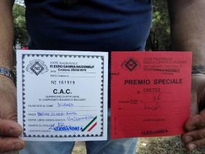 v-esposizione-nazionale-canina-a-crotone-tra-i-premiati-un-cane-cirotano1